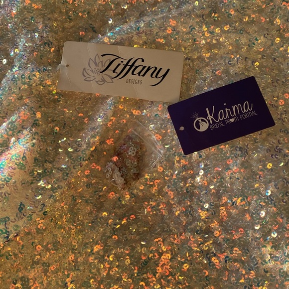 Liquid Crystal Sequins Wedding Gown Dress Tiffany Designs - Picture 8 of 14